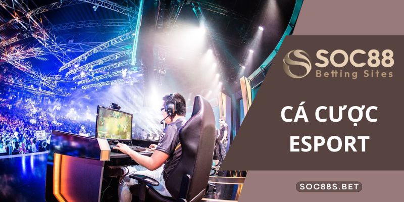 Cá Cược Esport Cùng SOC88 - Cẩm Nang Những Điều Tân Thủ Cần Biết Thông tin tổng quan về cá cược Esport