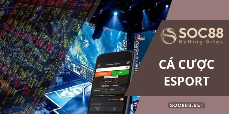 Cá Cược Esport Cùng SOC88 - Cẩm Nang Những Điều Tân Thủ Cần Biết Cá Cược Esport Cùng SOC88 - Cẩm Nang Những Điều Tân Thủ Cần Biết