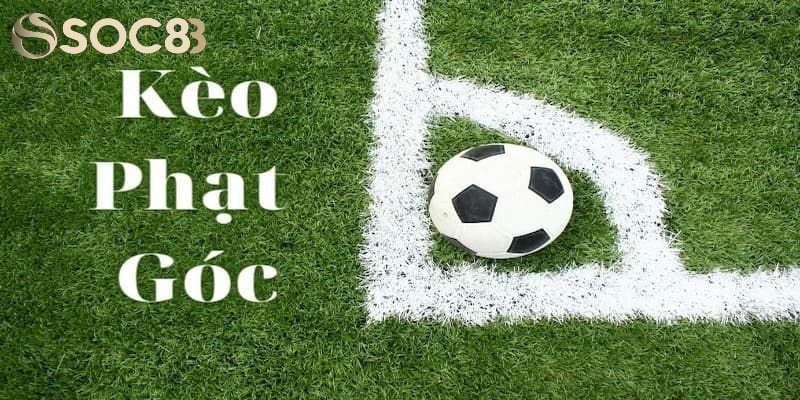 Kèo Phạt Góc Và Những Kinh Nghiệm Cược Chuẩn 2024 Kinh nghiệm soi kèo phạt góc ít ai biết đến